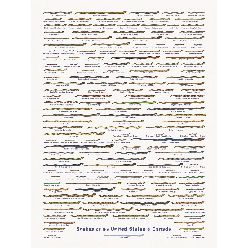 United Snakes of America Print