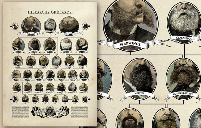 Hierarchy of Beards Poster (by Wondermark)